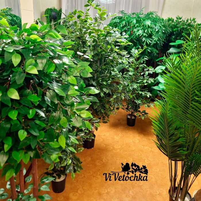 Vivetochka -   Искусственные деревья Фикус, Бамбук,  Костанай