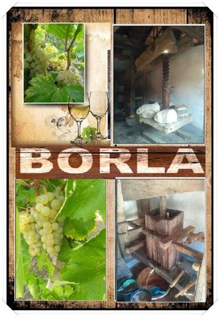 Vand struguri pentru vin, productie proprie si de calitate din Borla