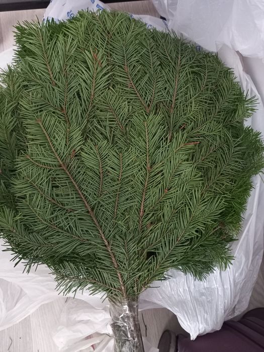 Свежие пихтовые .дубовые.березовые веники имасло
