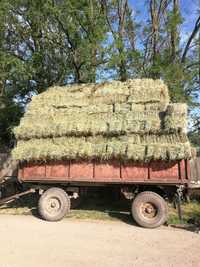 Baloti de lucerna (fără transport)