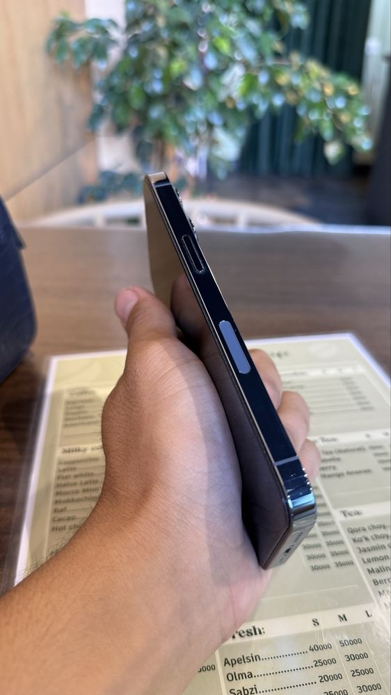 Iphone 13 pro idiaaaaal 10/11