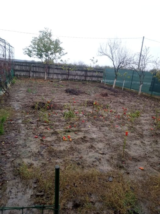 Vând casa la curte cu toate utilitățile