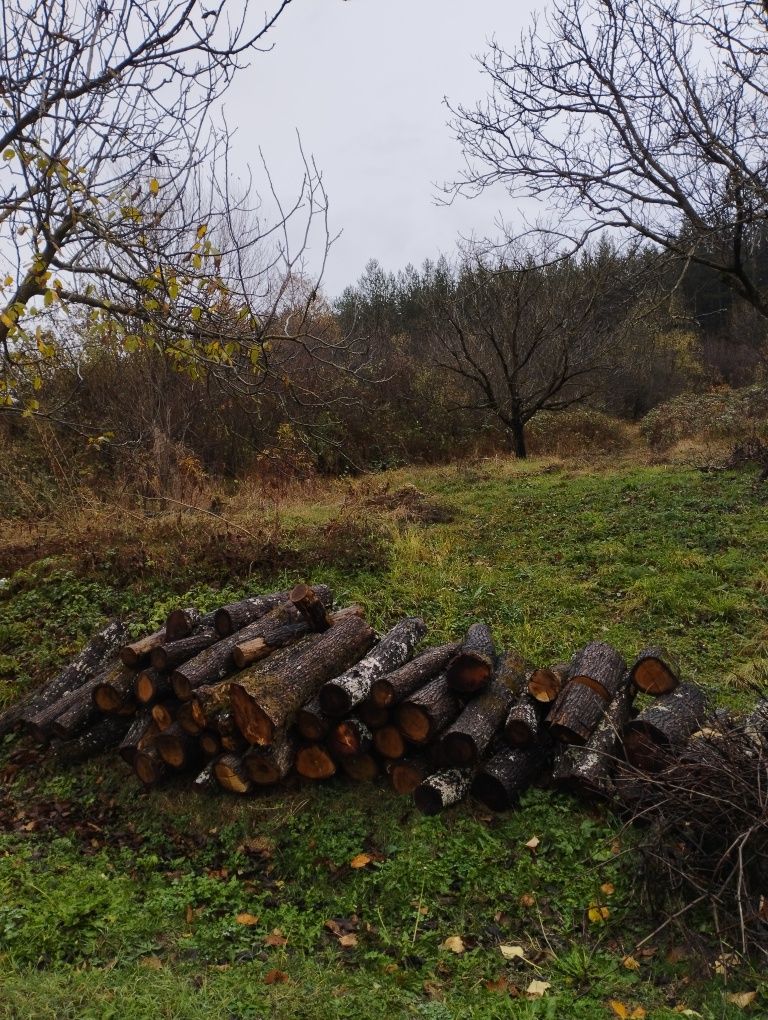 Продава се Парцел в с. Черкаски, Област Монтана - 670 кв.м за 15 €/кв.м - Снимка #2