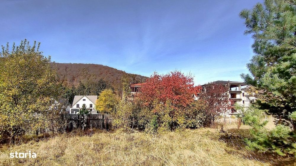 Teren Intravilan Bunloc