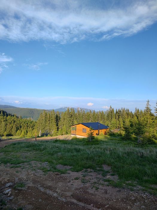 Cabanuta de închiriat