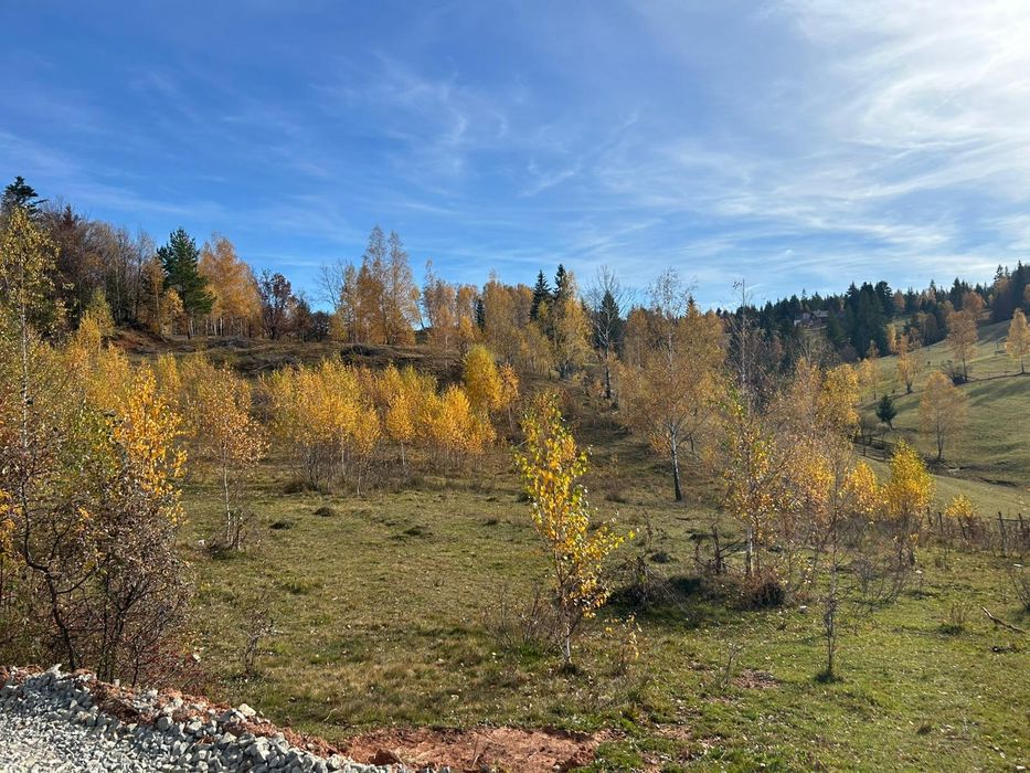 vând teren in Călățele Padure