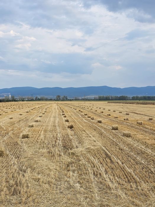 Бали слама (малки)