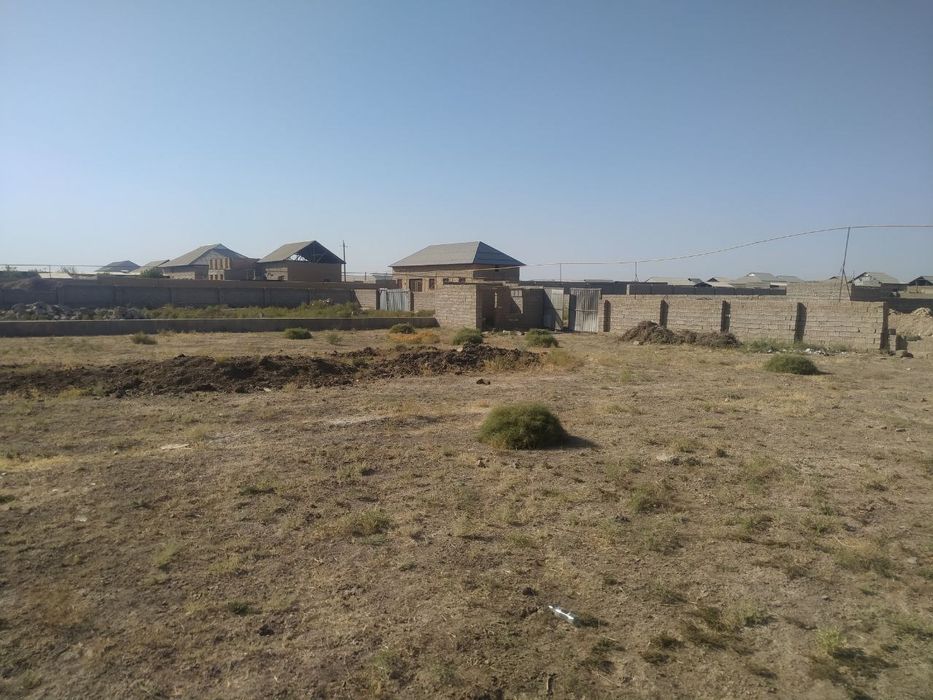 Yangi chaman Otchopar