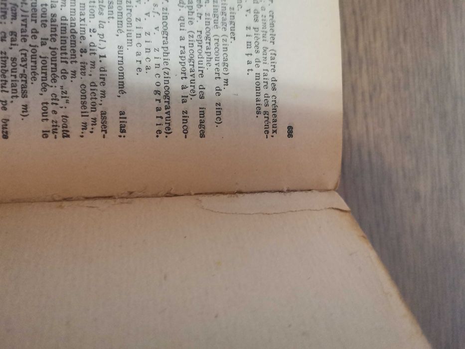 Dictionar Romîn-Francez Francez-Romîn