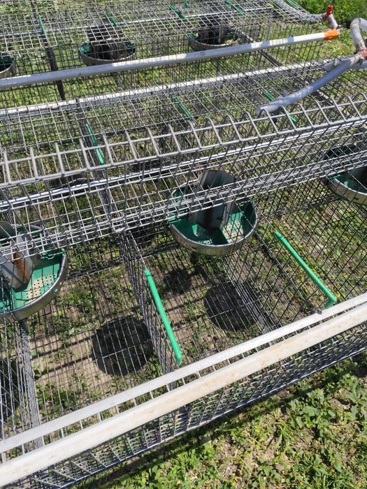 Cușcă iepuri ingrasare