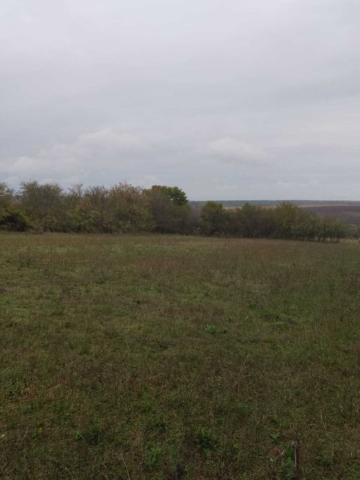 Продавам два съседни парцела в с. Никола Козлево