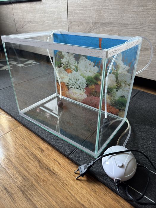 Аквариум для дома