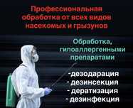 Уничтожение клопов, тараканов, крыс. Дезинфекция грызунов, мышей,крыс