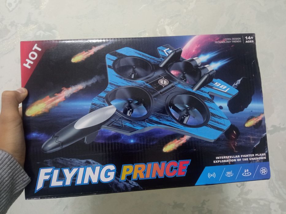 самальёт имя FLYING PRINCE