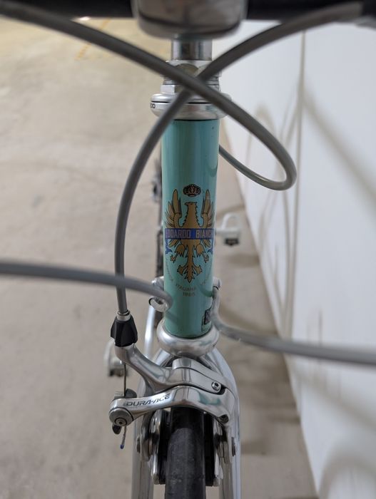 Vand cursiera Bianchi Columbus Genius