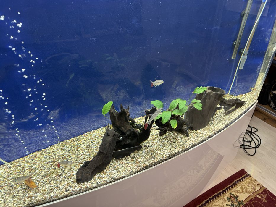 Аквариум акрил sunsun