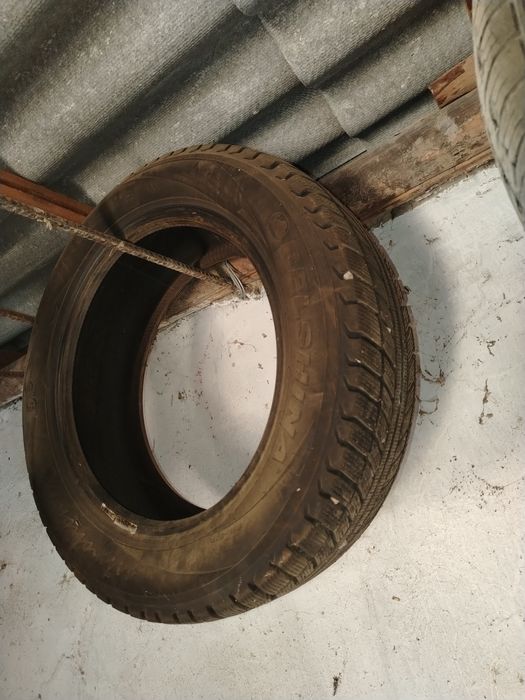 р15 зимний балон