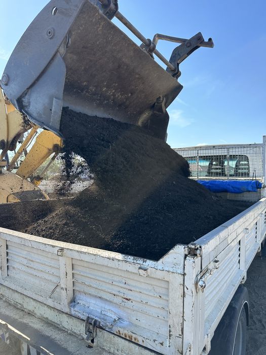 Pamant negru pentru gazon