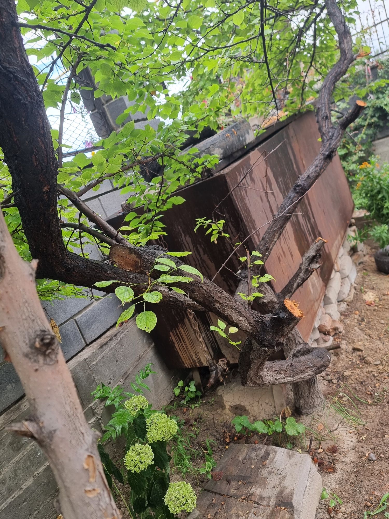 Продам ёмкость для дизеля, (солярки)