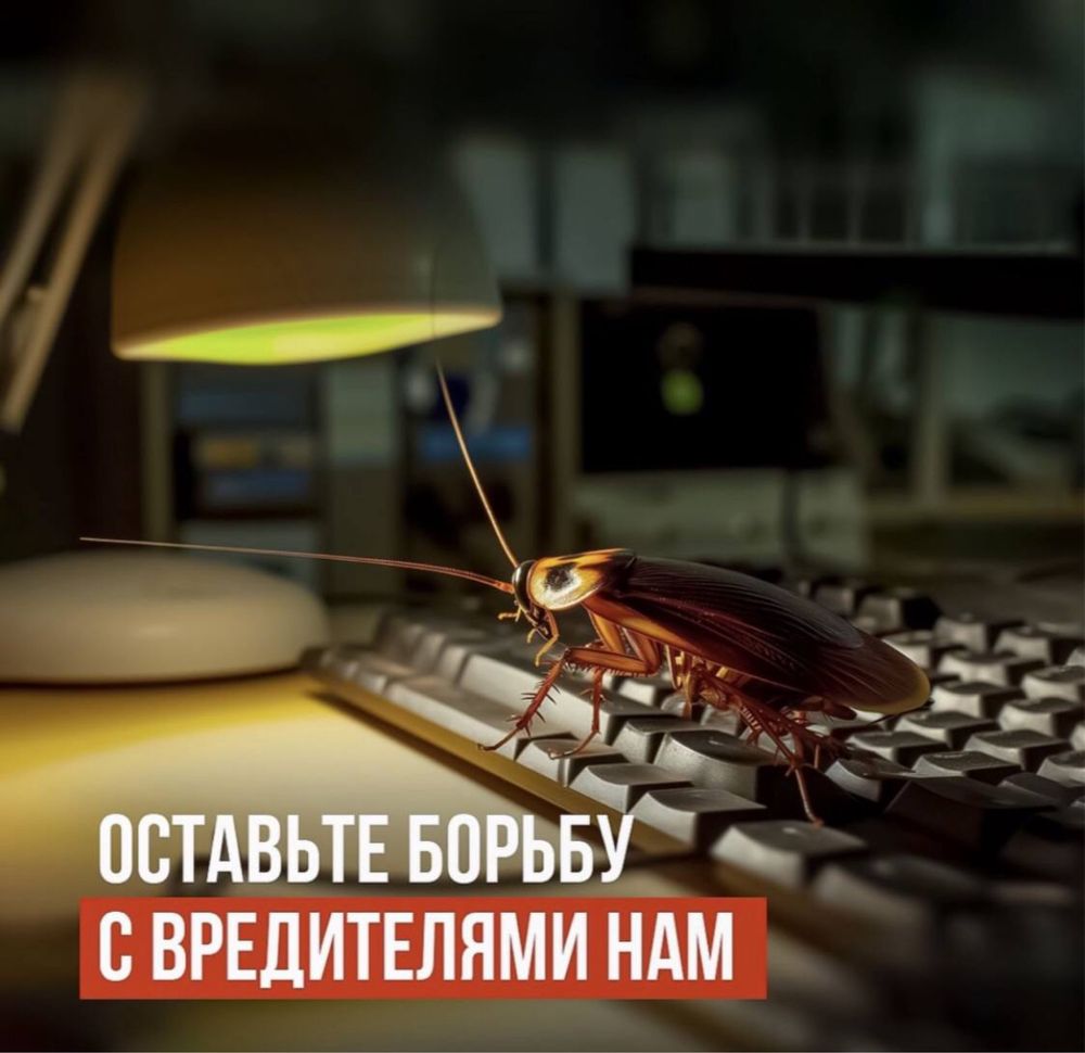 Скидки20 %Дезенфекция дизенфекция дезинфекция дизинфекция dizinfeksiya