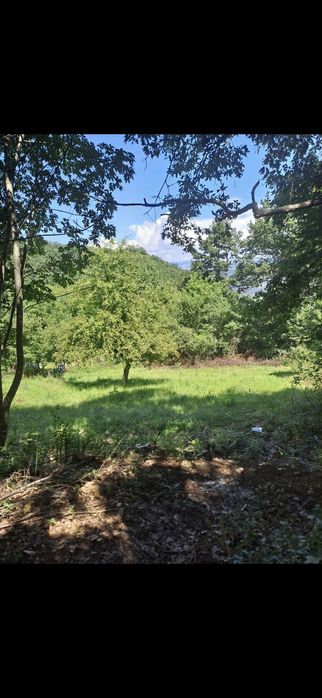 Дворно място в с. Ново Бърдо