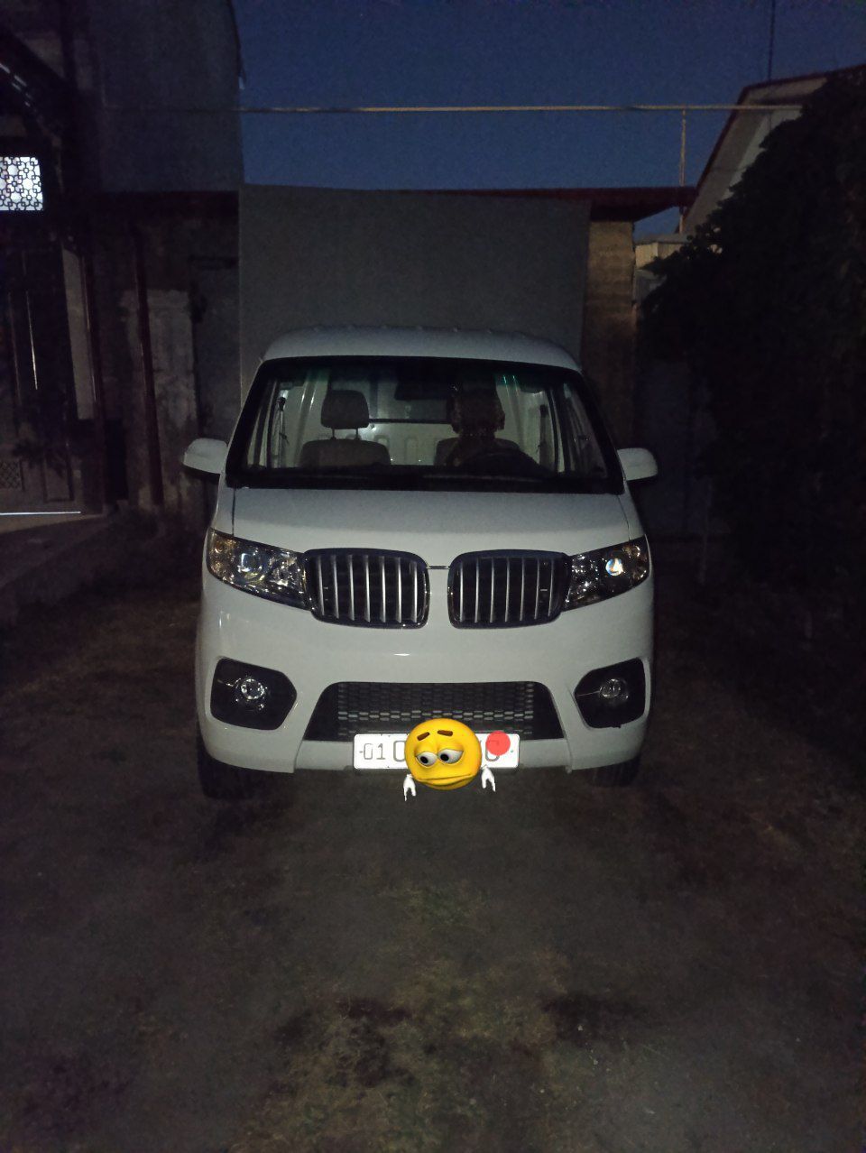 Shineray t 30 changam