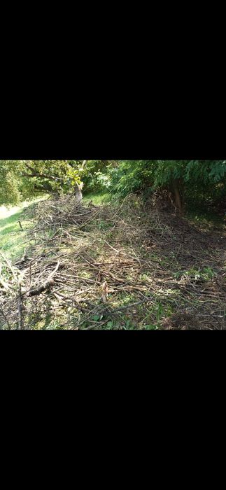 Inchiriez Tocator Crengi, Defrisari, Intretinere amenajari spatii verz