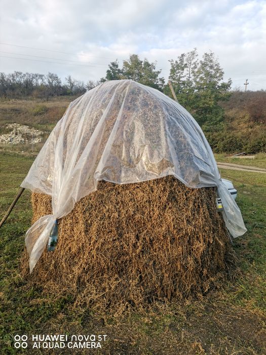 Vand lucernă si baloti mari din buruieni
