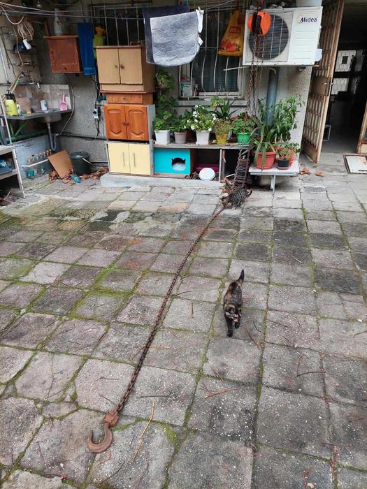 Ръчна верижна Лебедка