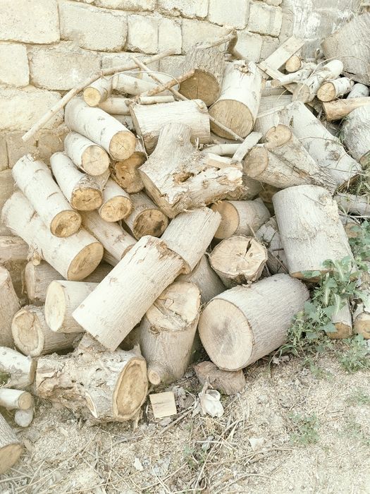Firewoods o'tin дрова