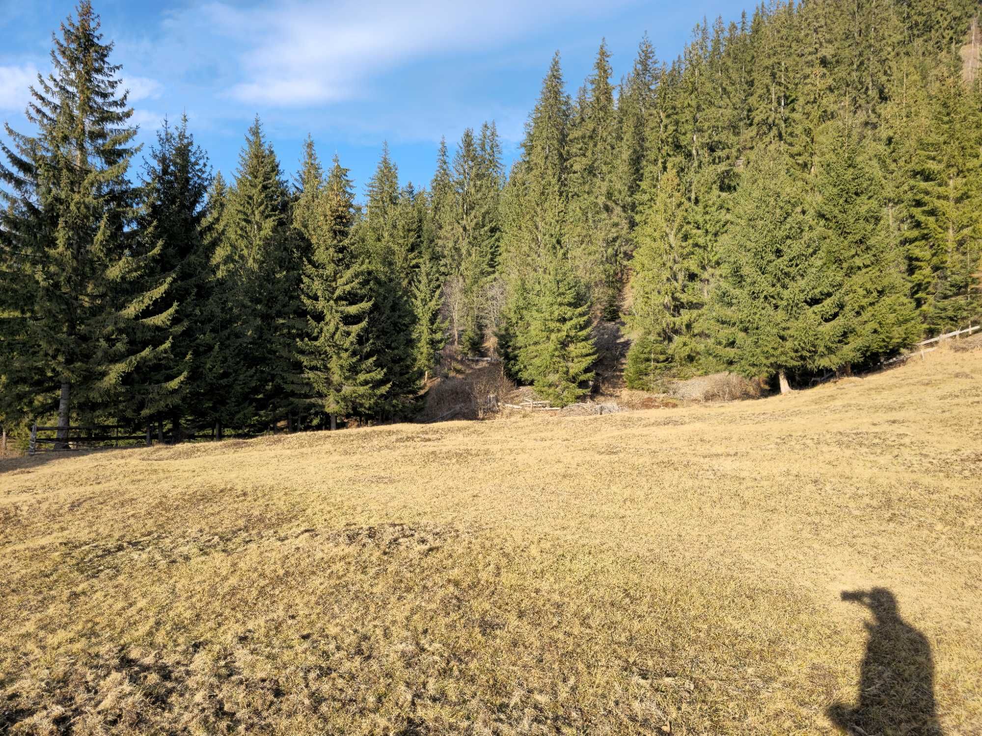 Teren de vanzare extravilan in Bucovina zona Sadova