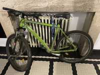 Bicicleta Arkus adult