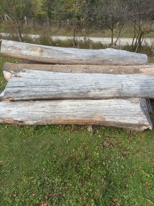 Bușteni frasin și cireș