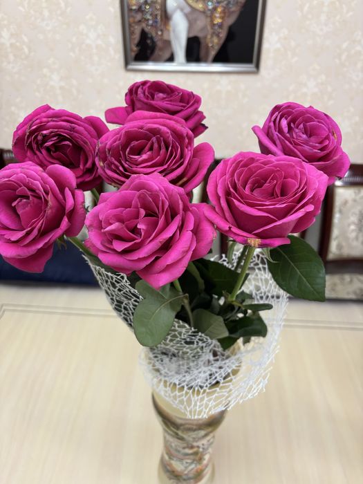 7штук метровые розы 3500тг