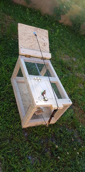 Capcane animale și păsări din lemn