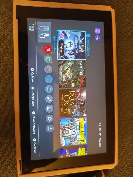 Nintendo Switch 24gb si Card SD 64gb