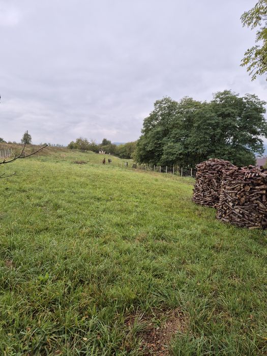 Teren 1.500 mp Sighetu Marmației