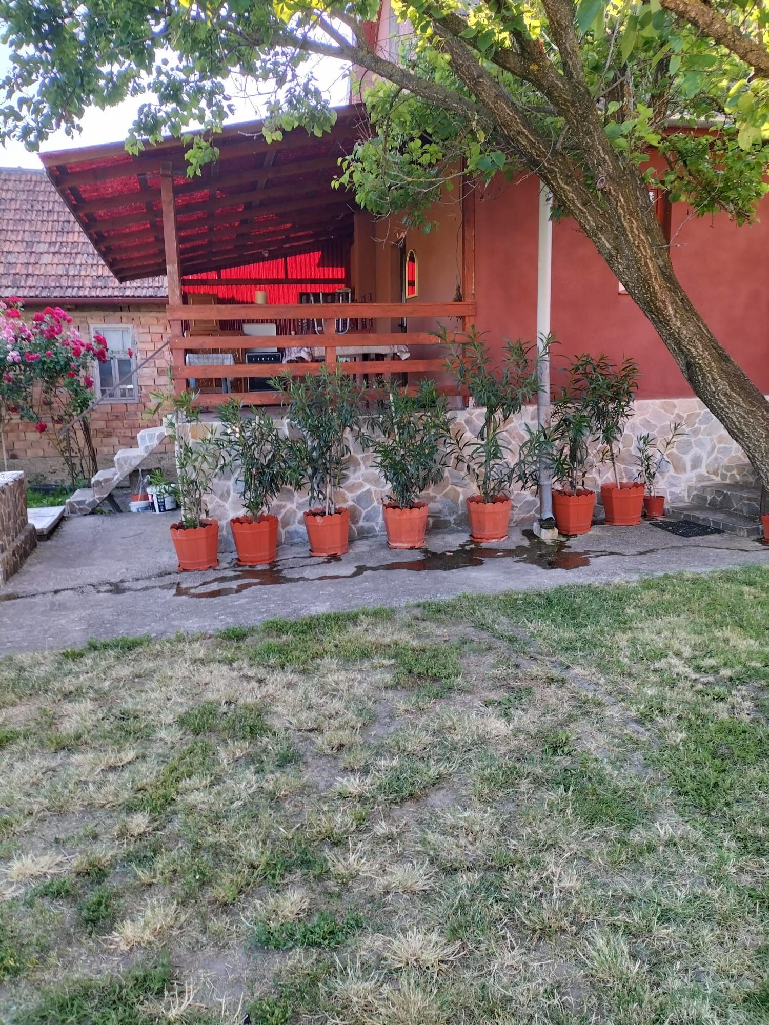 Vând casă cu toate utilitățile și drum asfaltat