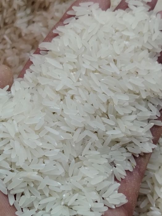 Лазер күріш бар выши сорт денесі қатты нағыз палауға арналған