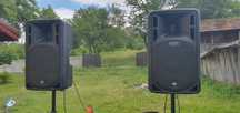 Vand boxe Rcf 315