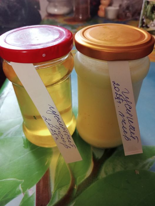 Продам жир гусиный