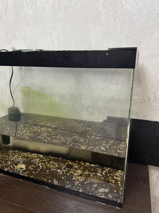 Аквариум на 60 литров