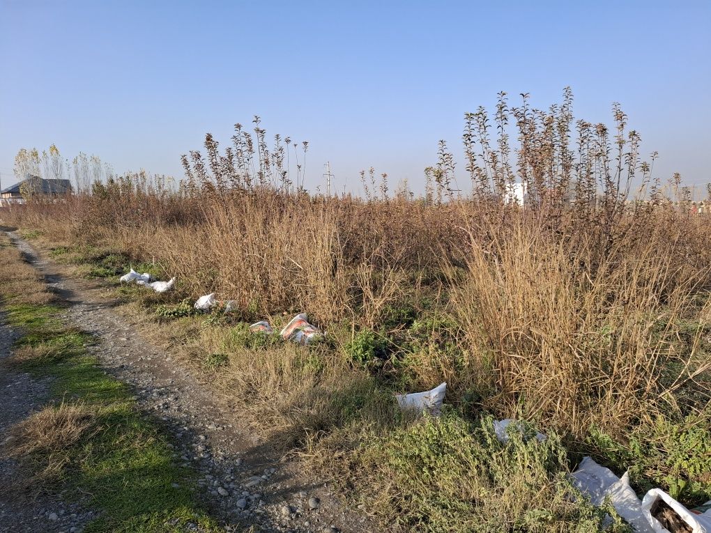 Бог ижарага берилади