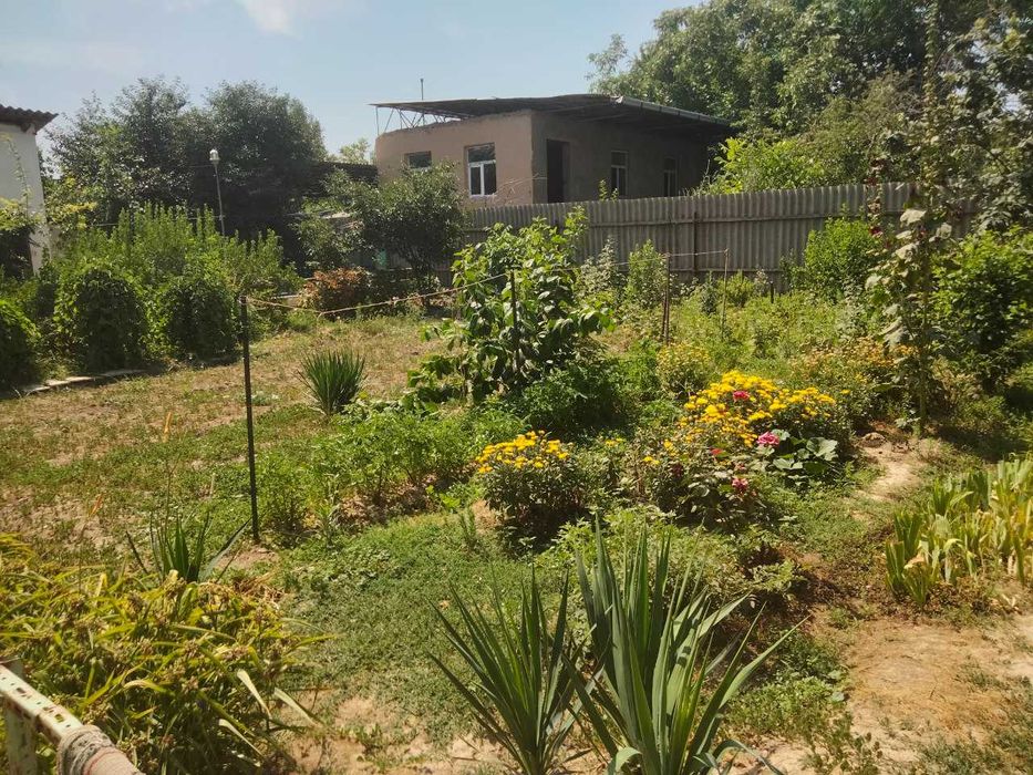 Продам Дом с участком 6 соток Буз-сув , 7км Ипподром