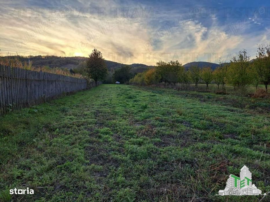 Teren de vanzare  Maneciu Pamanteni