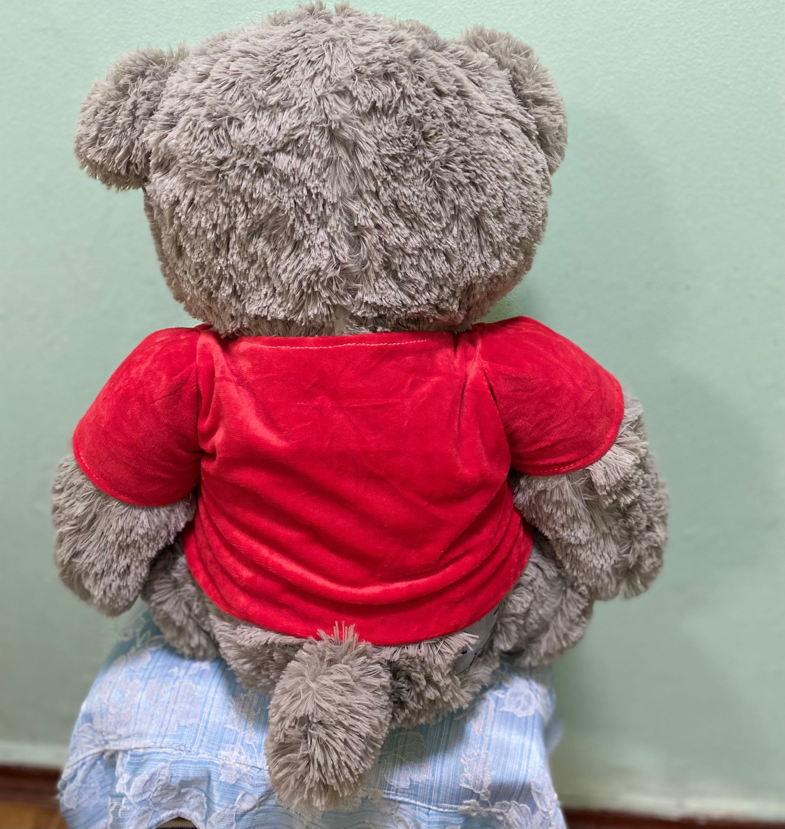 Мягкая игрушка мишка Тедди, в одежде.