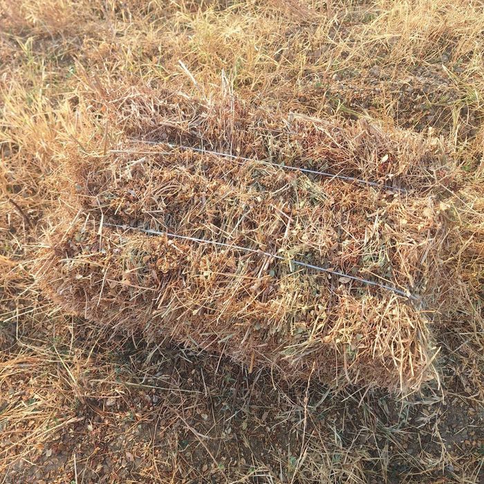 Yantoq pres sotiladi