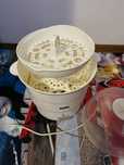 Sterilizator cu aburi
