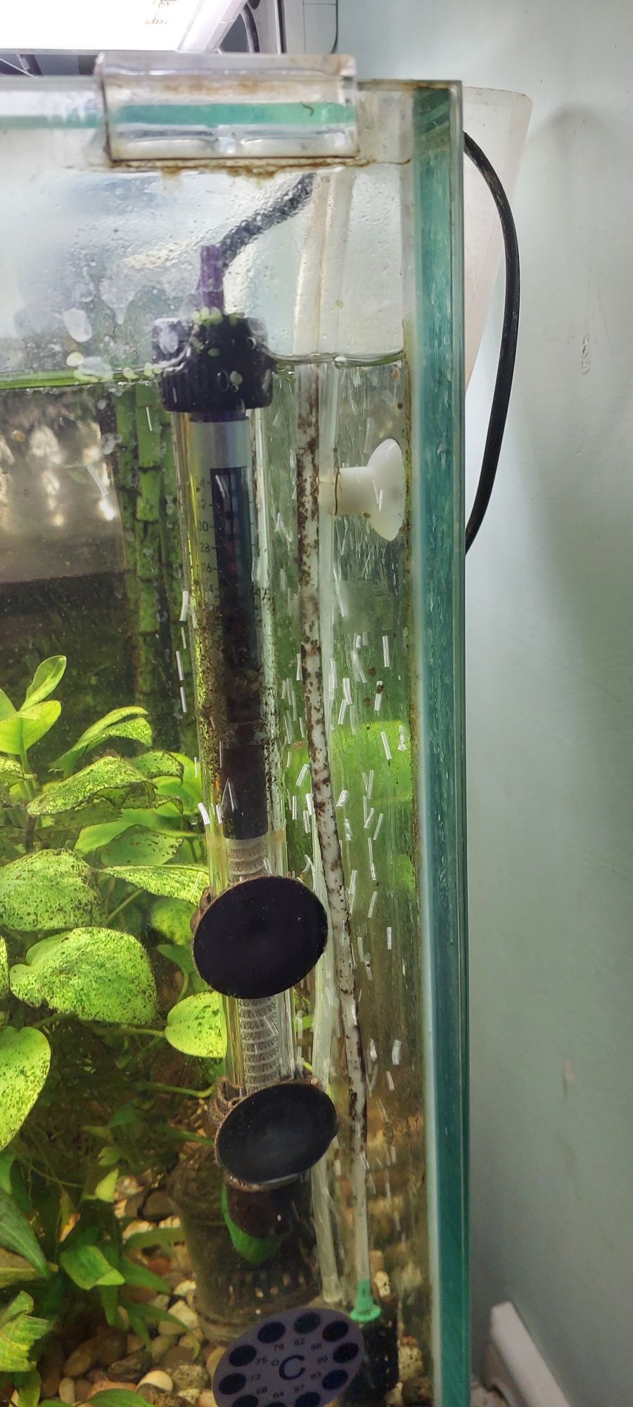 Akvarium sotiladi