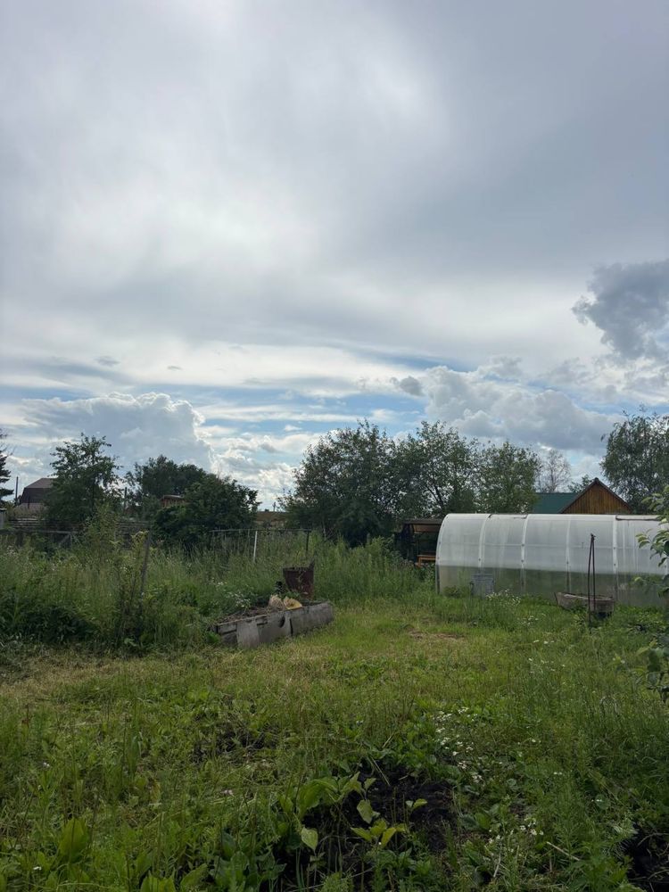 Дача в обществе борки
